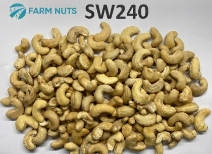 Cashew kernel SW240